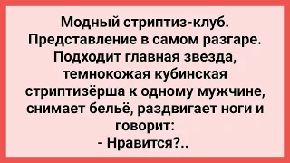 Кубинская Стриптизерша Показала Мужчине! Сборник Свежих Смешных Жизненных Анекдотов!