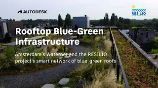 Blue-Green Infrastructure: A case study of Amsterdam’s adaptive smart network of blue-green roofs