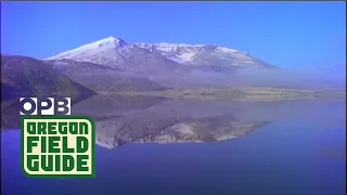 Mount St. Helens Remains A Mystery to Ecologists | Oregon Field Guide