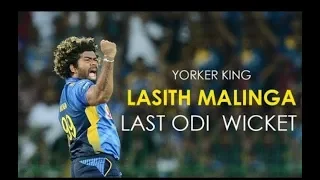 Yorker King Lasith Malinga Last ODI Wicket | 26-07-2019