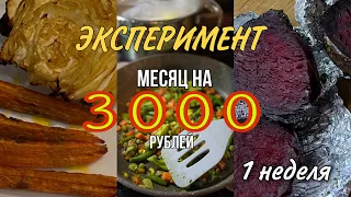 ВЫЖИВАНИЕ МЕСЯЦ НА 3000: 1 НЕДЕЛЯ