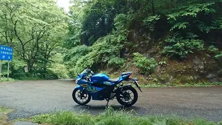 Ride to Tokyo's Forest in the Rain 4K Japan