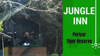 JUNGLE INN @ Periyar - The best Jungle Stay in Kerala | Ecotourism Kerala
