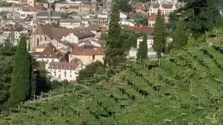Exploring South Tyrol's Vineyards | Euromaxx