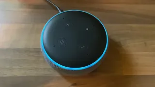 My Alexa Farts!!