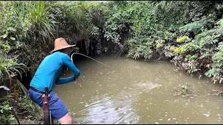 Elas não tinham para onde subir era tilápia grande para todo lado, pescaria!!!