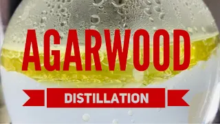 Agarwood distillation, by OudBase.com