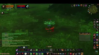 Turtle WoW - HC lv43 warrior died, I just watched :x