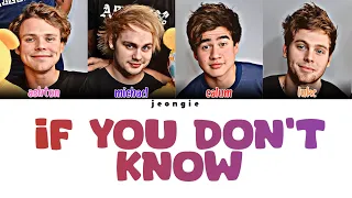 5 Seconds Of Summer - If You Don't Know (Color Coded - Lyric)