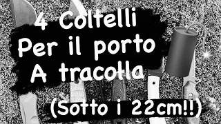 4 Coltelli per il porto a tracolla (Sotto i 22cm)!