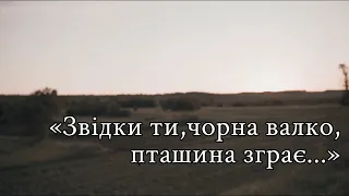 Сергій Жадан.«Звідки ти,чорна валко,пташина зграє...»