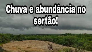 Chuva e abundância no sertão! cidades com chuvas