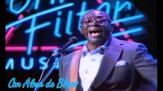 Albert King in Concert-Ohne Filter (1992) As The Years Go Passing By