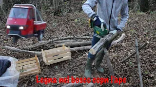 andiamo a fare LEGNA NEL BOSCO con L'APE