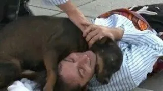 Video: la reacción de un perro callejero al ver a un hombre que actuaba de herido