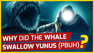 Hidden Message Behind The Shocking Event! |  Why Did the Whale Swallow Jonah (pbuh)?