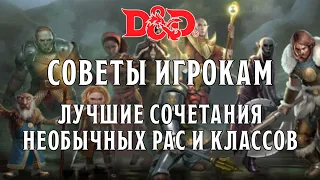 D&D Советы Игрокам: Лучшие Сочетания Рас и Классов | Часть 2