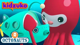 @Octonauts - The Giant Squid | Full Episode 6 | @OctonautsandFriends