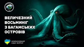 Величезний восьминіг з Багамських островів