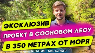 Купить квартиру в Алании от застройщика. Недвижимость в Турции. Новостройки в Алании. Турция. Алания