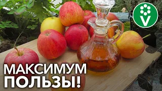 СЕКРЕТЫ ПРИГОТОВЛЕНИЯ ЯБЛОЧНОГО УКСУСА. Эти нюансы сделают УКСУС полезным и вкусным!