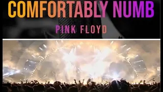 Pink Floyd - Comfortably Numb / Run Like Hell 1994