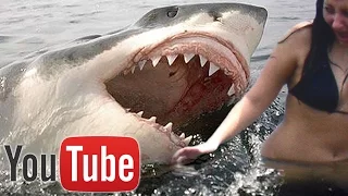 10 Shocking Shark Attacks Caught on Camera