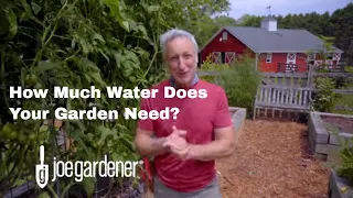 How to Measure the Proper Amount of Water for Your Garden