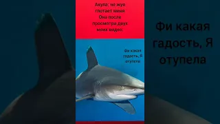 мем 10 юбилейный #тупизень #акула #тупая #инстасамка #хаха