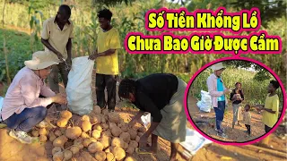 Khách mua hết củ đậu|| Vợ Chồng Tám sở hữu Số Tiền KHỔNG LỒ|| 2Q Vlogs Cuộc Sống Châu Phi