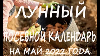 Лунный посевной календарь на май 2022 года лучшие дни для садово-огородных работ.