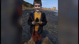 Boy, six, finds giant megalodon shark tooth on Bawdsey beach (UK) - BBC News - 9th May 2022