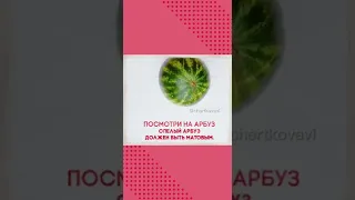 6 признаков спелого сладкого арбуза! Узнай, как выбрать