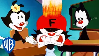 Animaniacs | The Warners are Back in School | Classic Cartoon | WB Kids