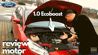 Ford (Fiesta, Focus, Puma, EcoSport, B-Max, C-Max, Mondeo) 1.0 Ecoboost - review motor