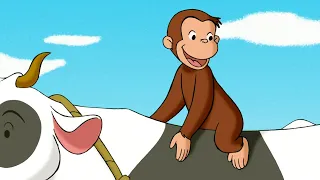 La folie dans la basse-cour 🐵 Georges le Petit Singe 🐵 Dessins Animés