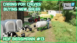 Separating and Feeding Calves, Making Straw Bales - Hof Bergmann #13 Farming Simulator 22