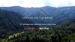 Ukraine on the Brink: Deforestation Threatens Fragile Ecosystems