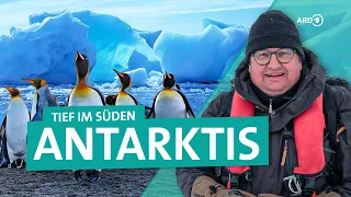 Antarktis: Pinguine, Eisberge und Tauchen am Südpol | Tief im Süden 3/3 | ARD Reisen