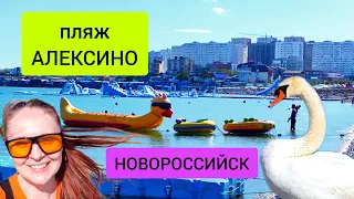 #113 Новороссийск 2024 пляж Алексино. Отдых на юге России. #морскаяцаревна #sumkiberry