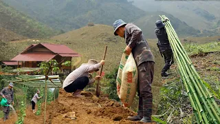 Tam Lan builds a new farm Ep.2 | Use bamboo to make trellises, plant chayote, luffa and squash