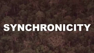 In Zaire  - Synchronicity (OFFICIAL)