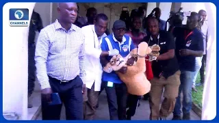 Four Arrested Over Illegal Possession Of Lion In Lagos