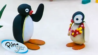 Pingu on Holiday 🐧 | Pingu - Official Channel | Cartoons For Kids