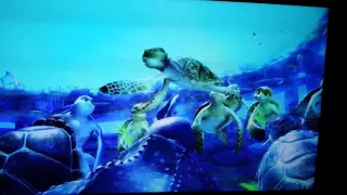 A Turtle's Tale:Sammy's Adventure -Turtle Love