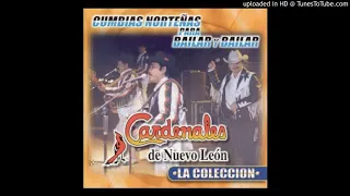 Cardenales de Nuevo Leon-Cumbias mix(DJ Mayo)