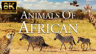 African Animals 8K ULTRA HD | African Savanna Relaxing Movies With Soft Music