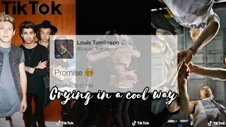 These One Direction TikTok Will Makes You Crying in a (not) Cool Way 😭