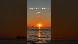Happiness: Finding Joy in Every Moment