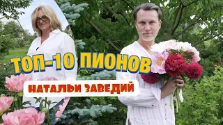 ТОП-10 раннецветущих пионов; травянистые, молочноцветковые, межвидовые гибриды